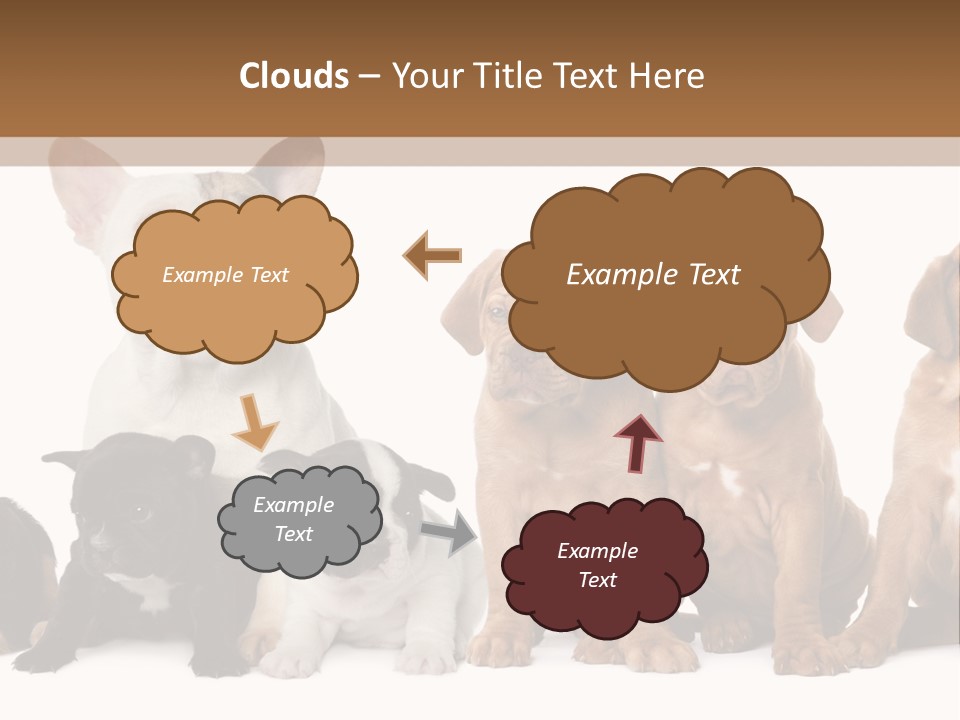 Pet Veterinary PowerPoint Template