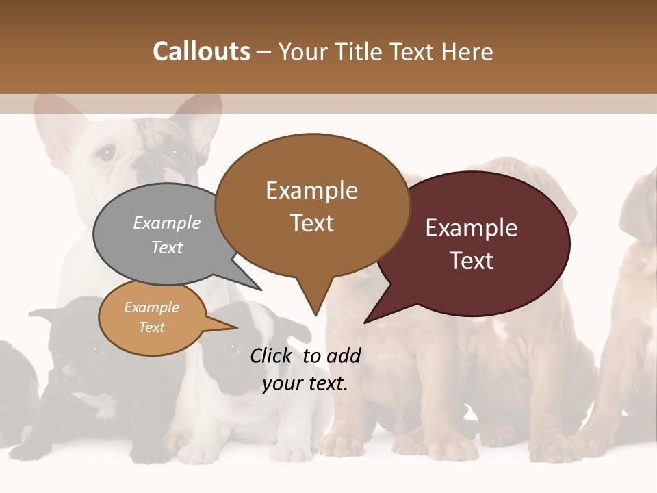 Pet Veterinary PowerPoint Template