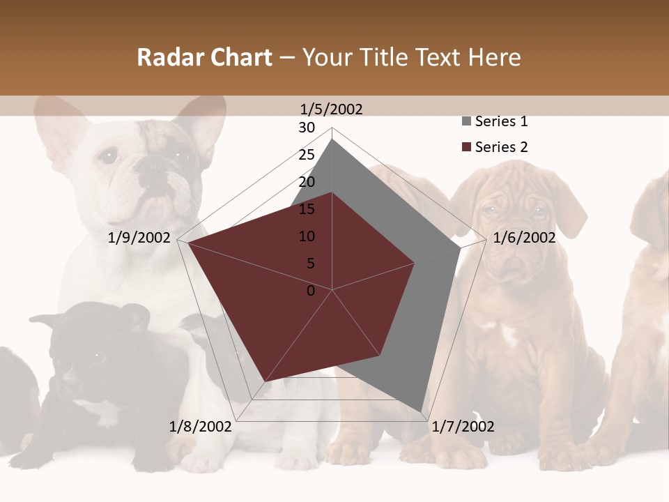 Pet Veterinary PowerPoint Template