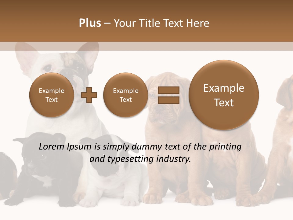 Pet Veterinary PowerPoint Template