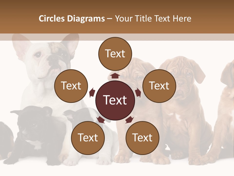Pet Veterinary PowerPoint Template