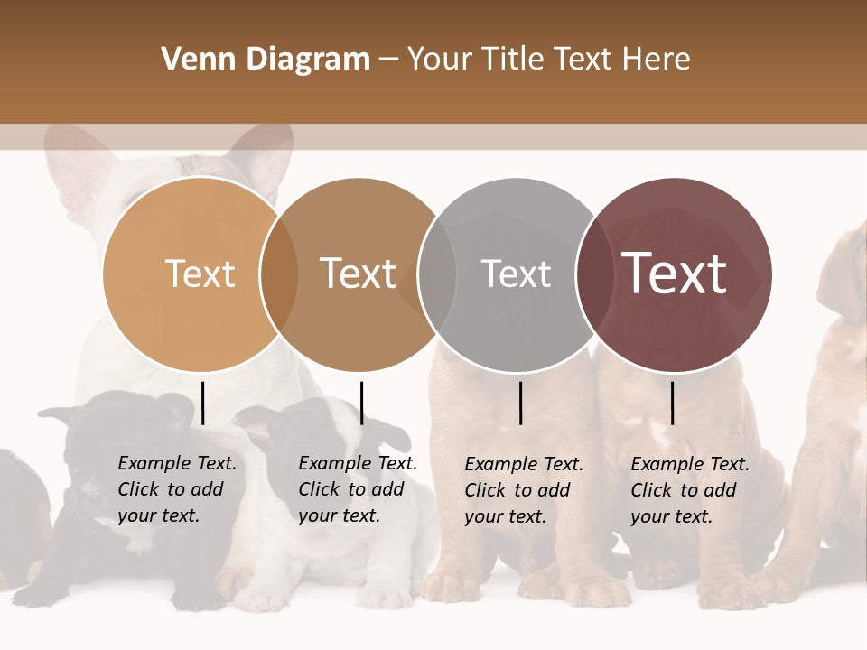 Pet Veterinary PowerPoint Template