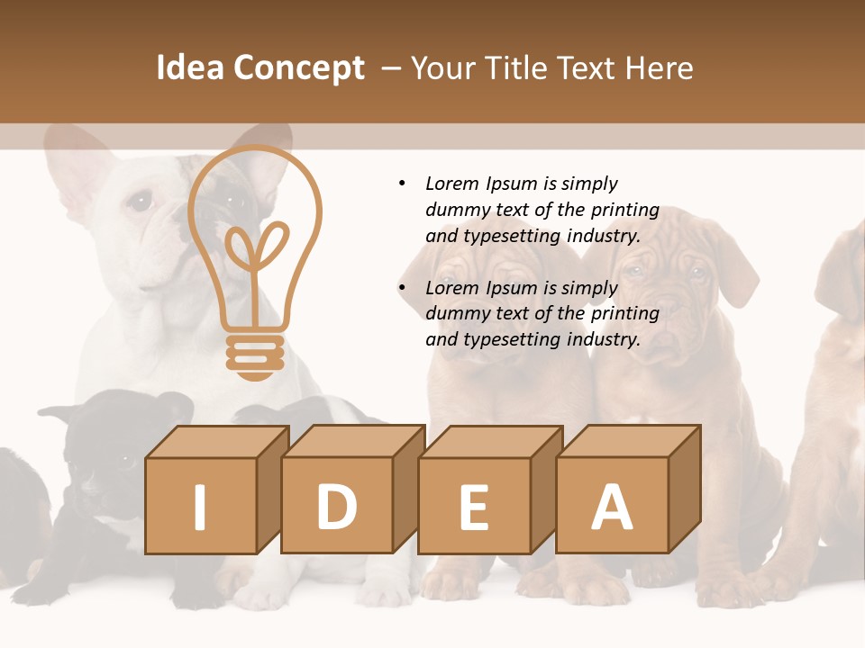 Pet Veterinary PowerPoint Template