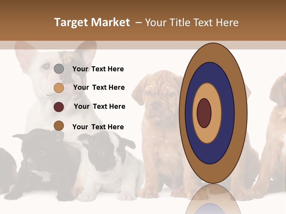 Pet Veterinary PowerPoint Template