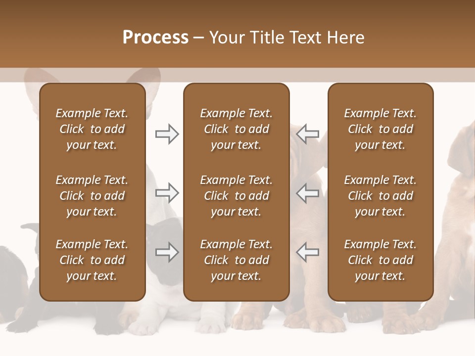 Pet Veterinary PowerPoint Template