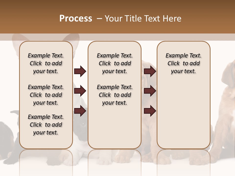 Pet Veterinary PowerPoint Template