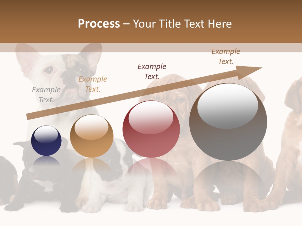 Pet Veterinary PowerPoint Template