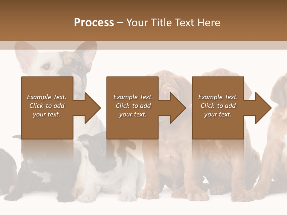 Pet Veterinary PowerPoint Template