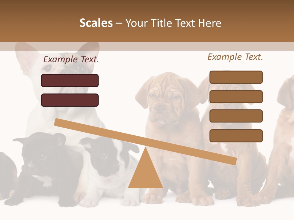 Pet Veterinary PowerPoint Template