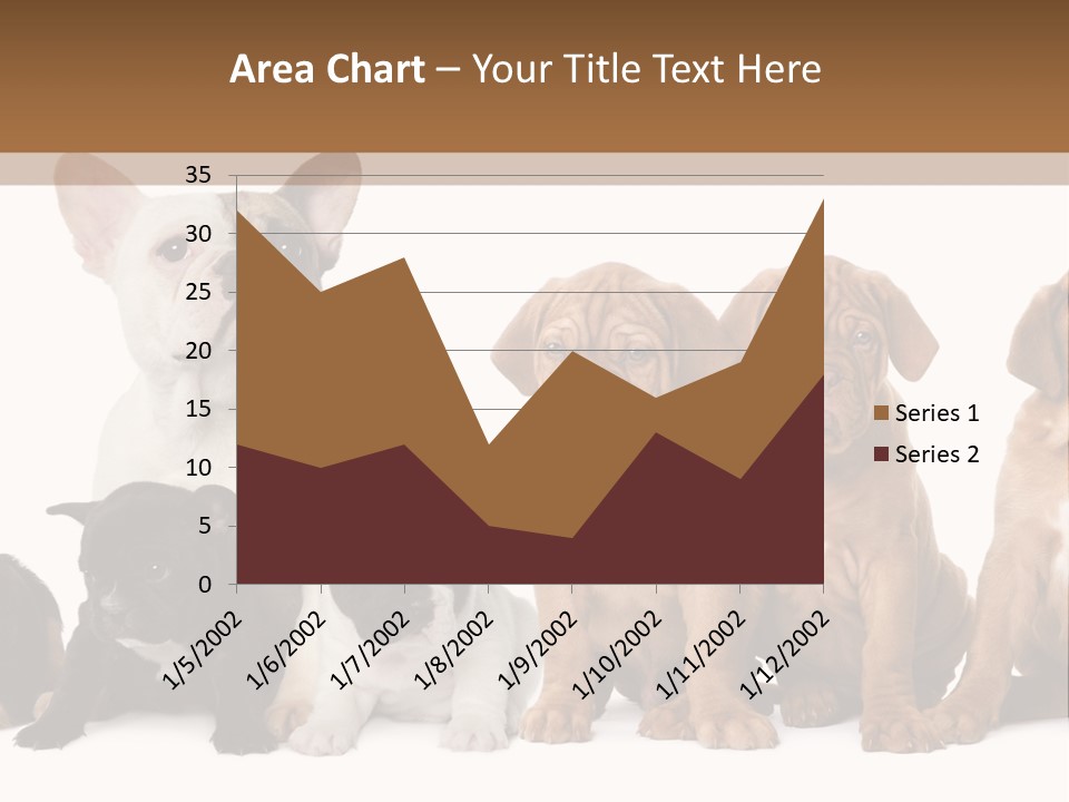 Pet Veterinary PowerPoint Template