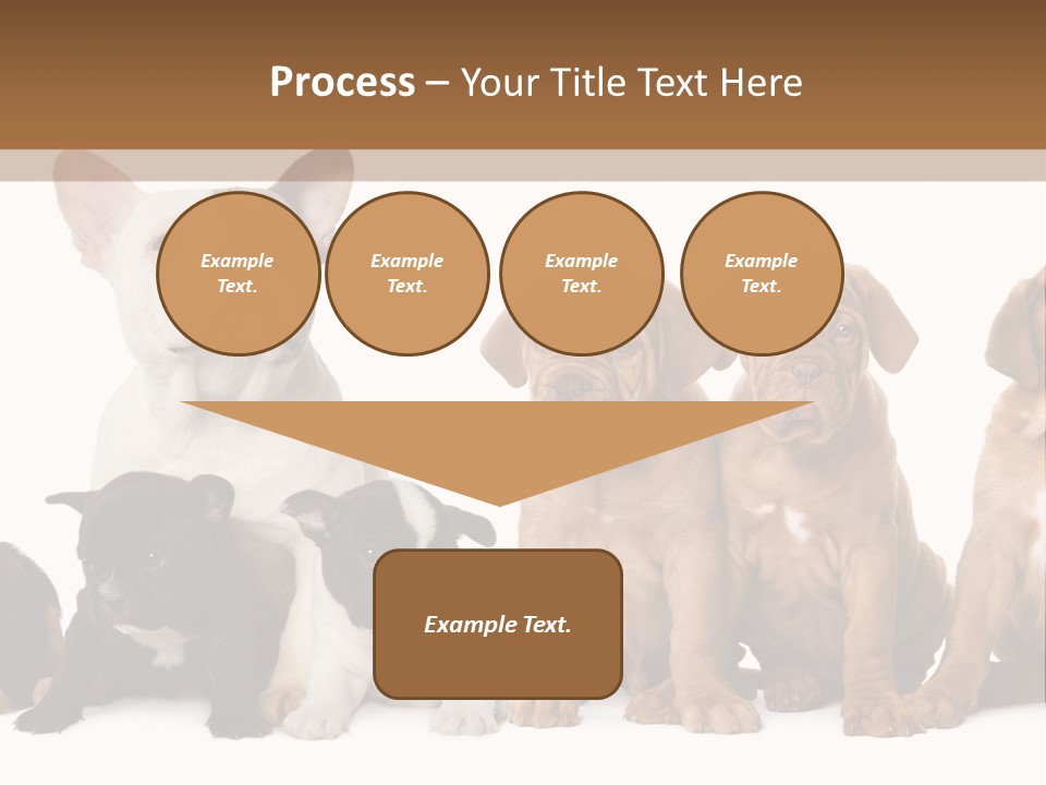 Pet Veterinary PowerPoint Template