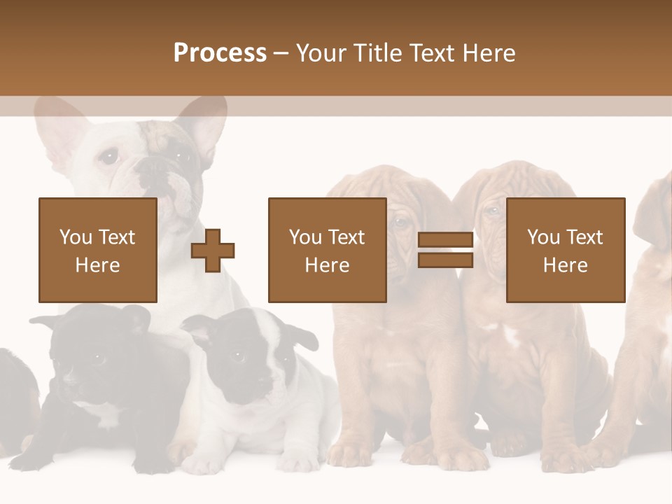 Pet Veterinary PowerPoint Template