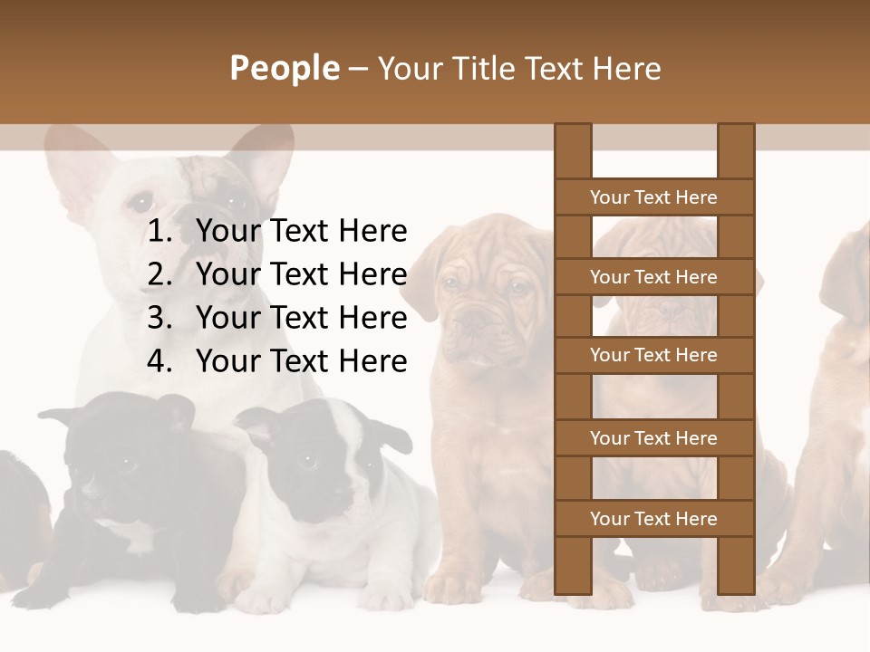 Pet Veterinary PowerPoint Template