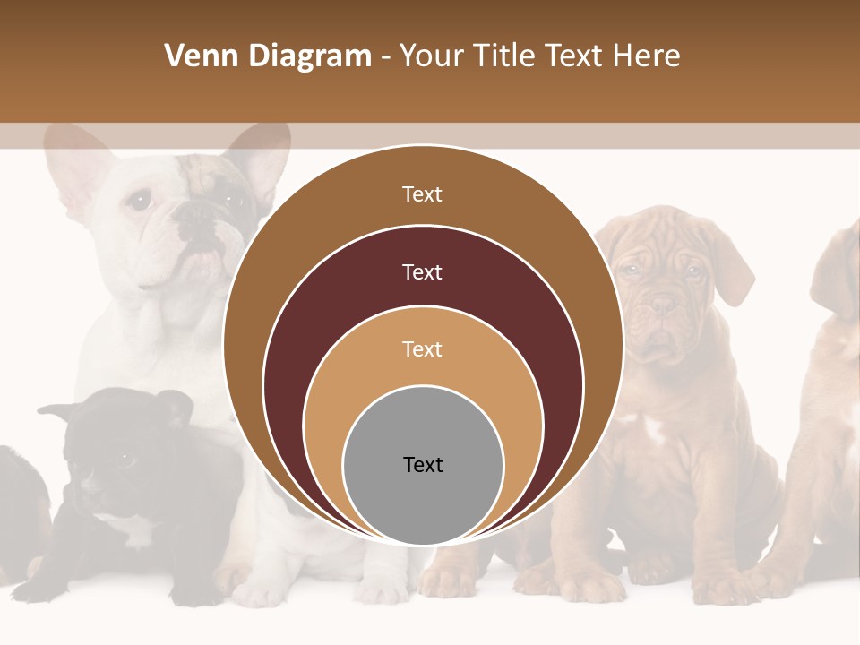 Pet Veterinary PowerPoint Template