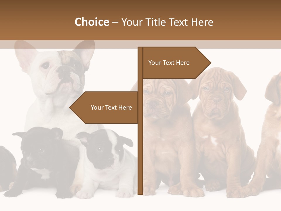 Pet Veterinary PowerPoint Template
