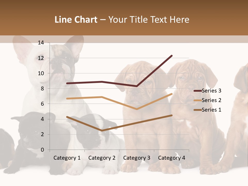 Pet Veterinary PowerPoint Template