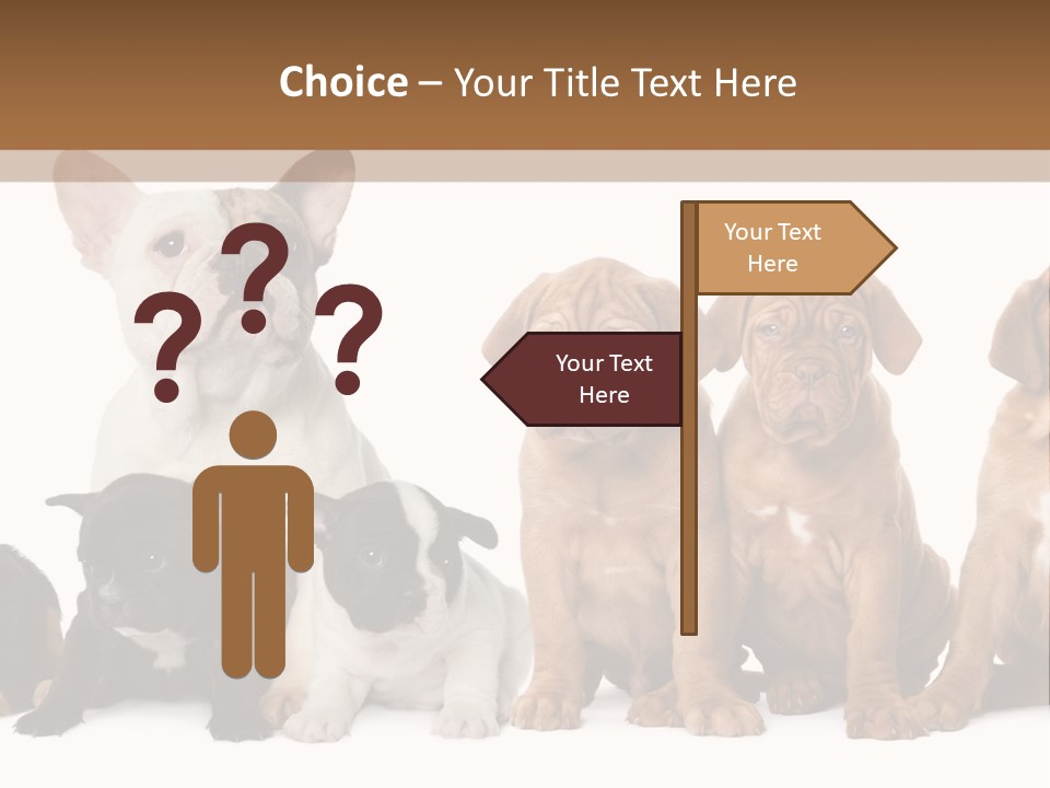 Pet Veterinary PowerPoint Template