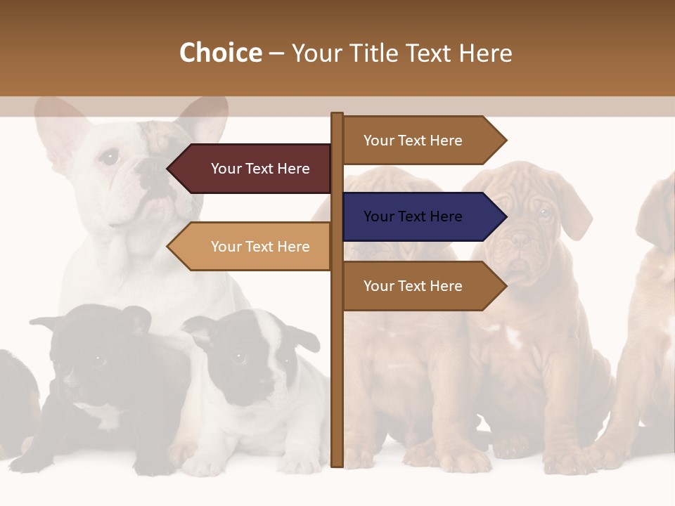 Pet Veterinary PowerPoint Template