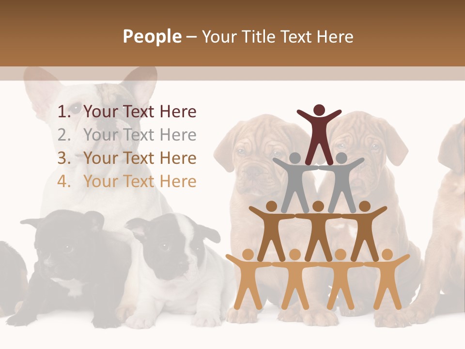 Pet Veterinary PowerPoint Template