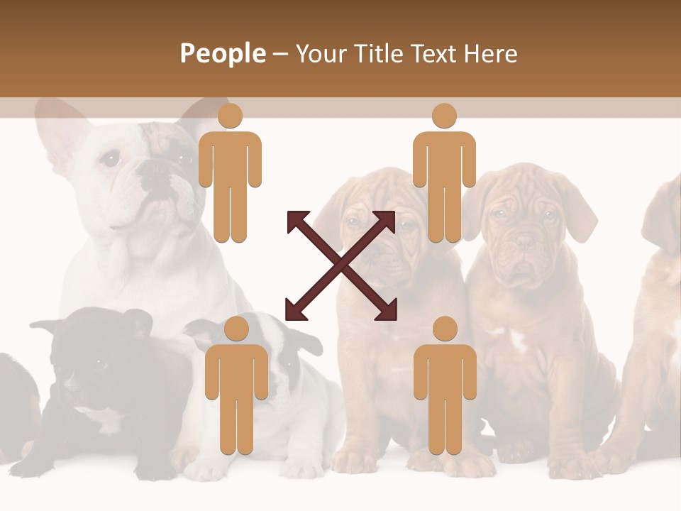 Pet Veterinary PowerPoint Template