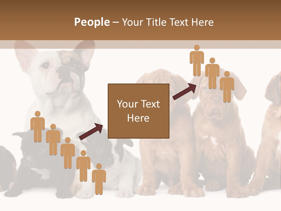 Pet Veterinary PowerPoint Template