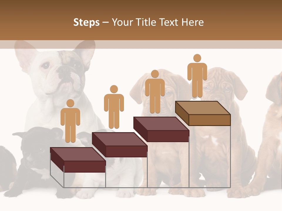 Pet Veterinary PowerPoint Template