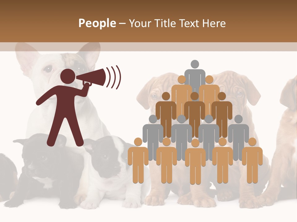 Pet Veterinary PowerPoint Template