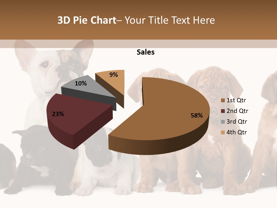 Pet Veterinary PowerPoint Template