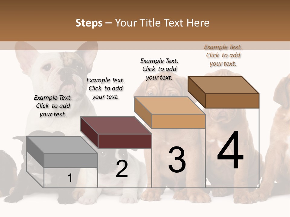 Pet Veterinary PowerPoint Template