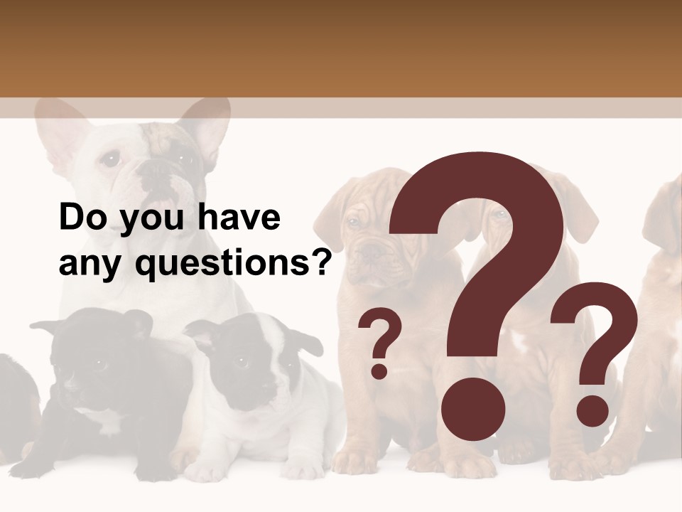 Pet Veterinary PowerPoint Template