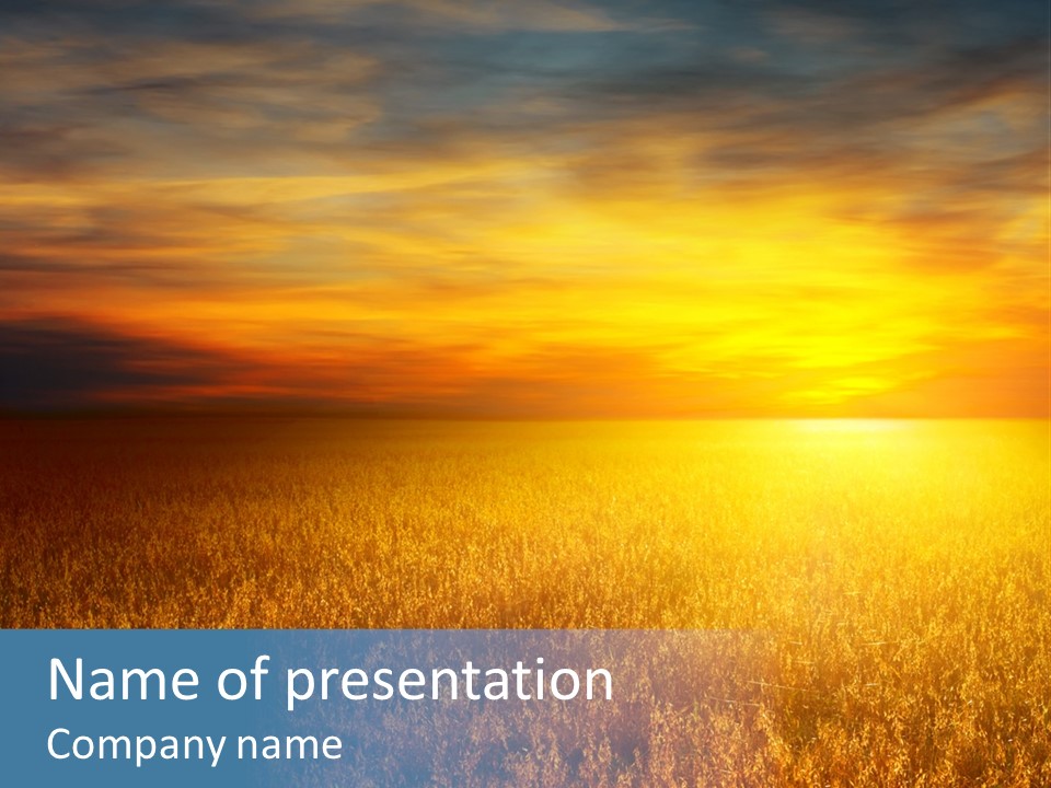 Wheat PowerPoint Template