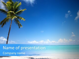 Caribbean Beach PowerPoint Template