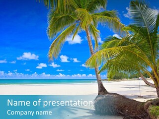 Nature Blue Sky PowerPoint Template