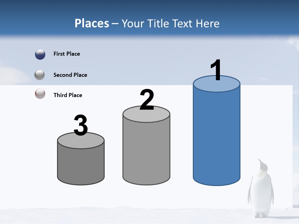 Penguin Placard Animal PowerPoint Template