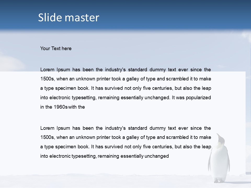 Penguin Placard Animal PowerPoint Template