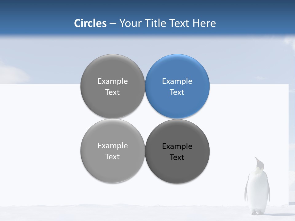 Penguin Placard Animal PowerPoint Template