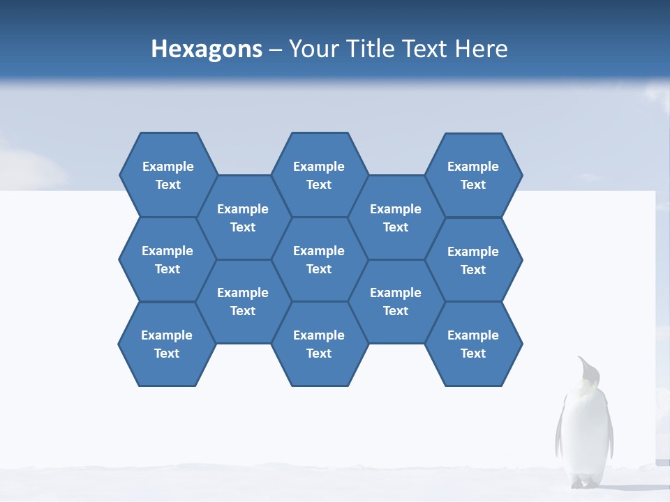 Penguin Placard Animal PowerPoint Template