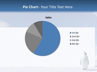 Penguin Placard Animal PowerPoint Template