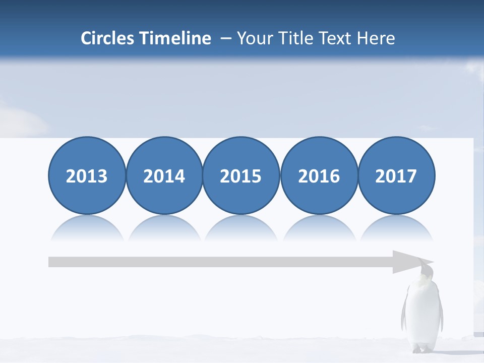 Penguin Placard Animal PowerPoint Template