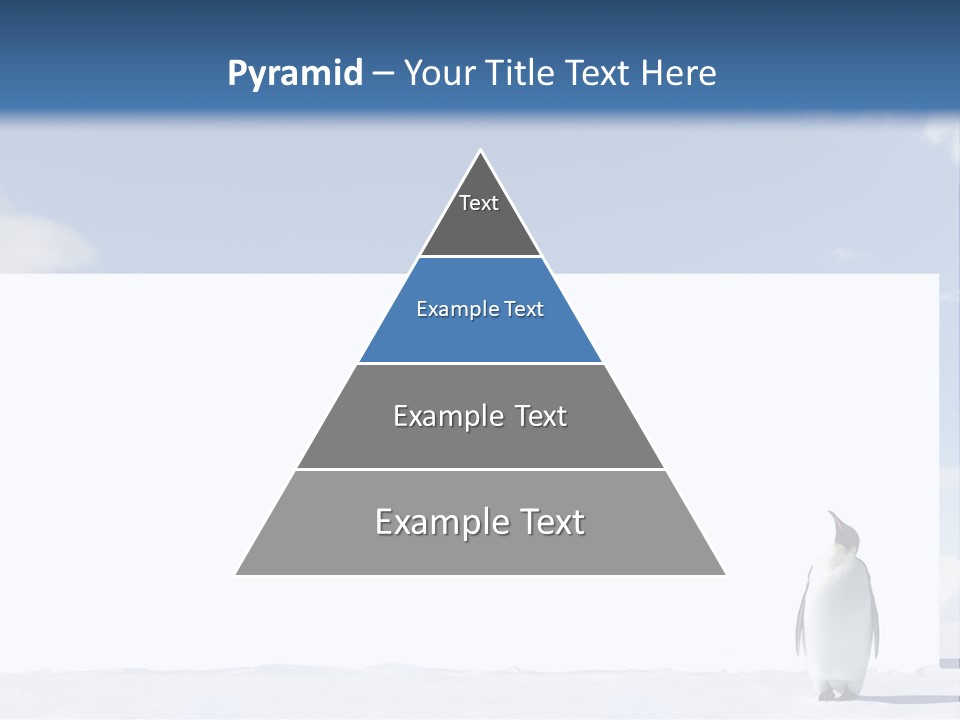 Penguin Placard Animal PowerPoint Template