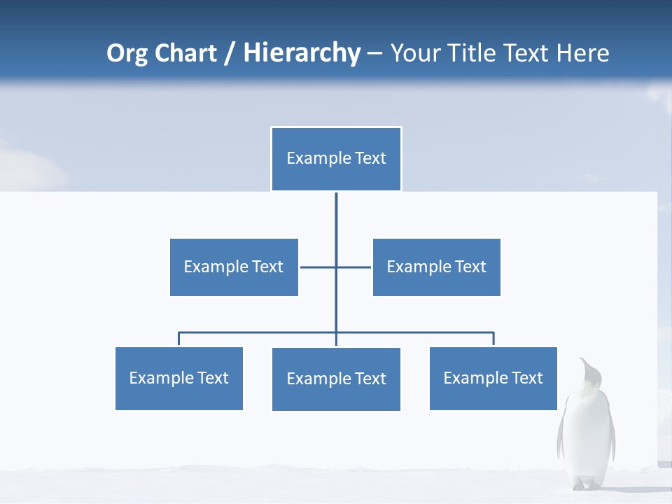 Penguin Placard Animal PowerPoint Template