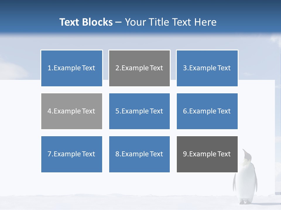 Penguin Placard Animal PowerPoint Template