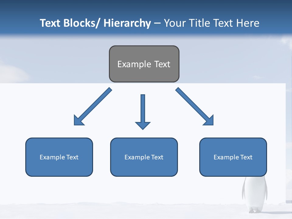 Penguin Placard Animal PowerPoint Template