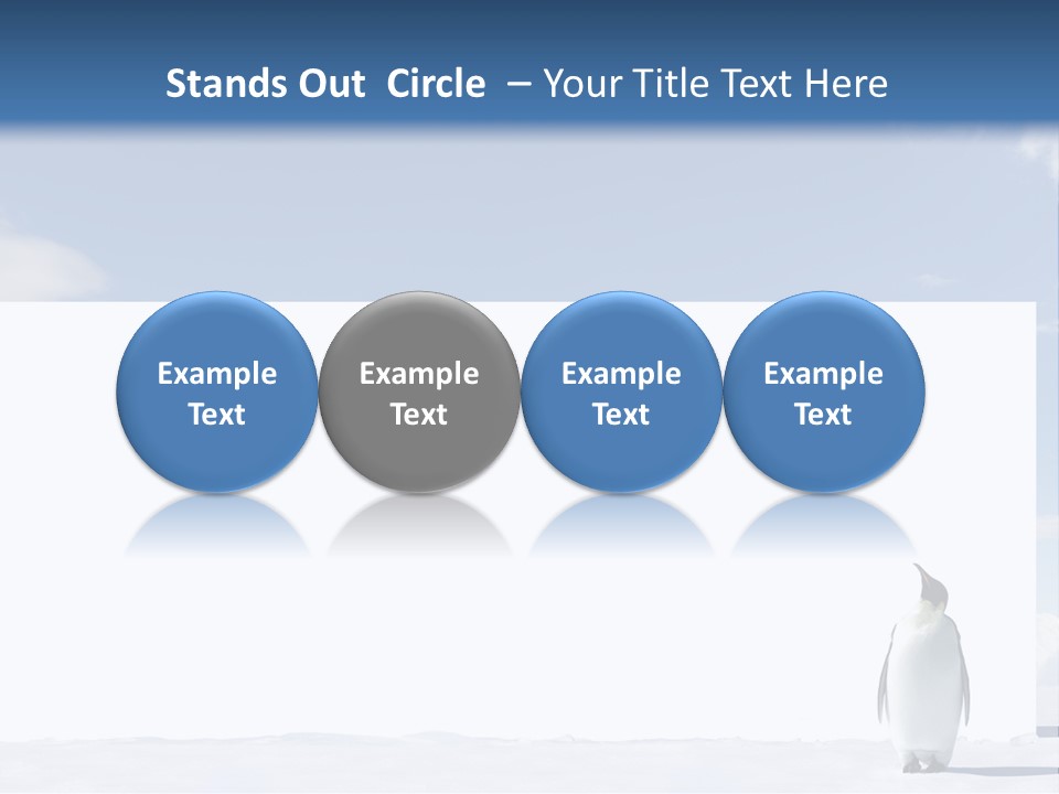 Penguin Placard Animal PowerPoint Template