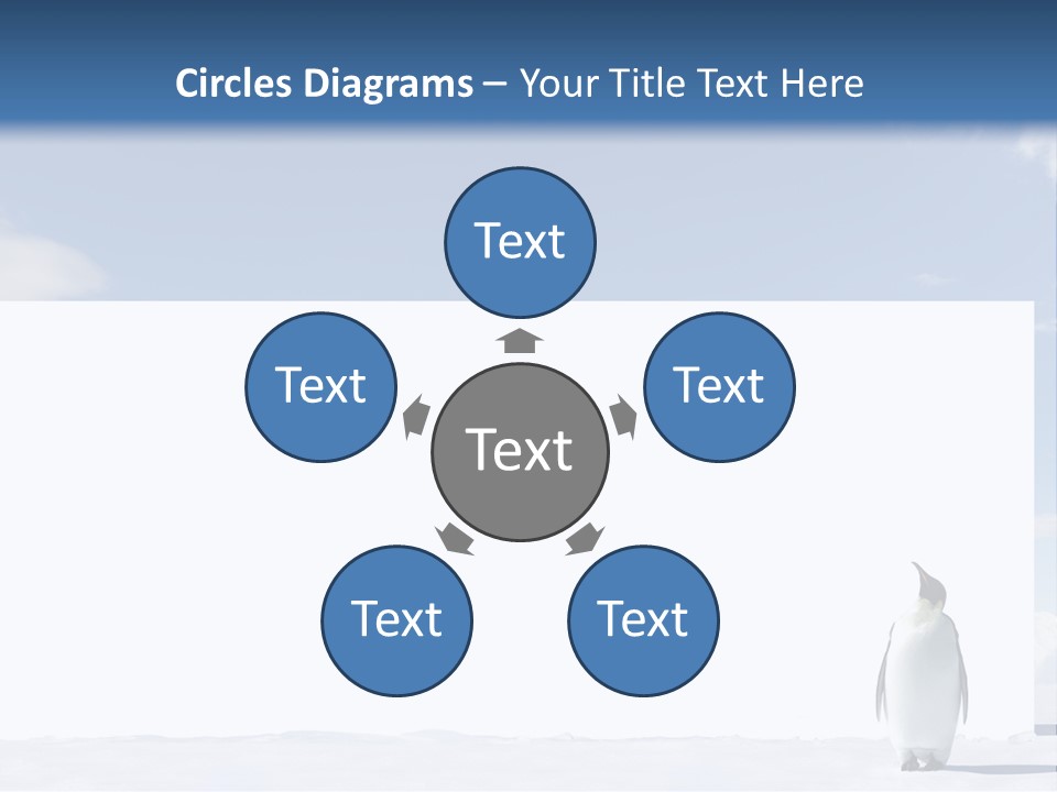 Penguin Placard Animal PowerPoint Template