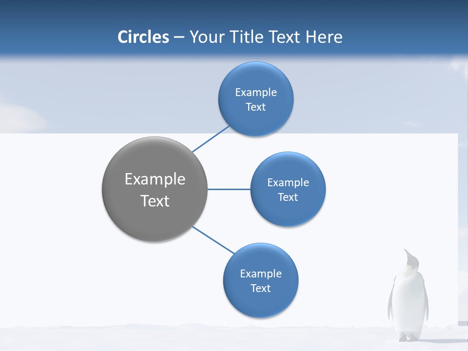 Penguin Placard Animal PowerPoint Template