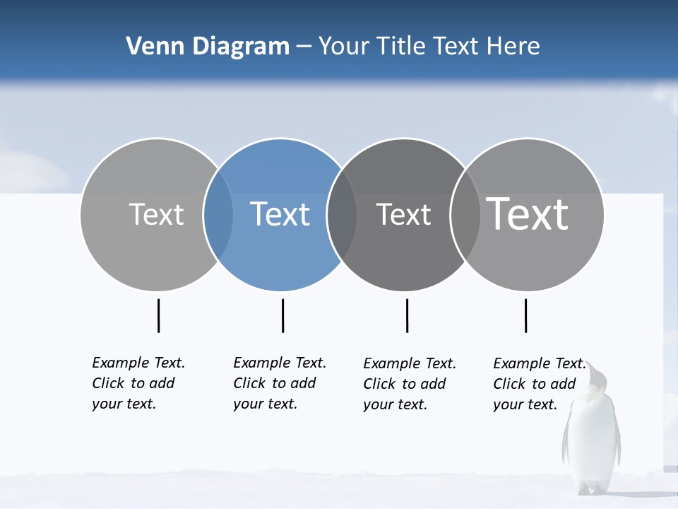 Penguin Placard Animal PowerPoint Template