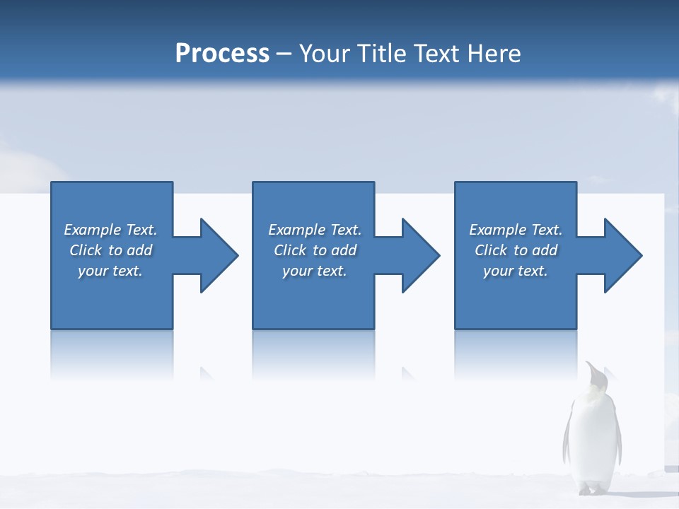 Penguin Placard Animal PowerPoint Template