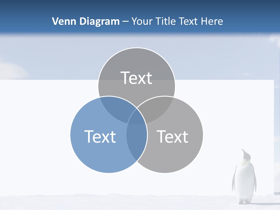 Penguin Placard Animal PowerPoint Template