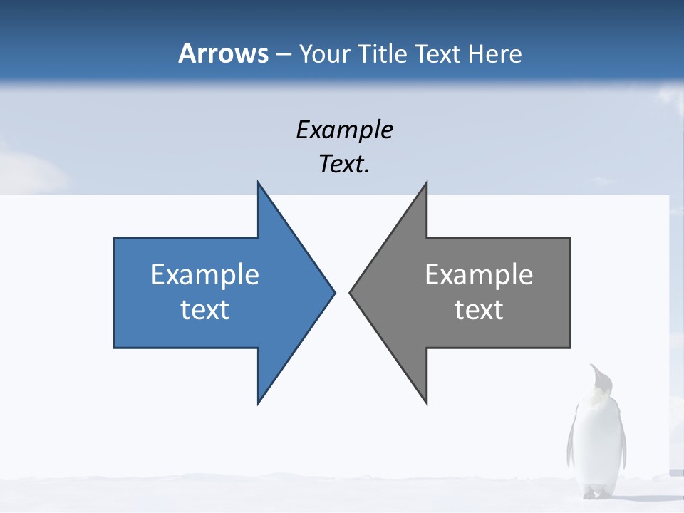 Penguin Placard Animal PowerPoint Template